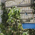 Hotel Alkisti 3*