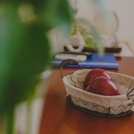 Hotel Alkisti Larnaca