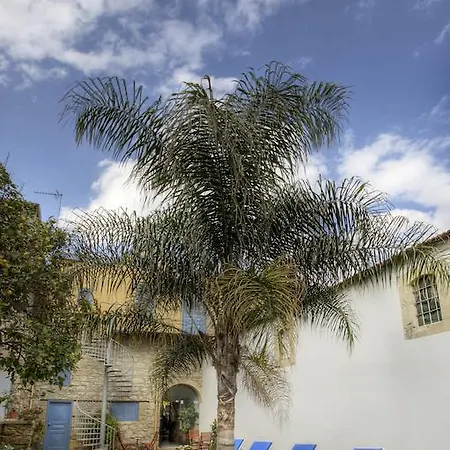 Alkisti לרנקה